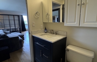 1 bed, 1 bath, 505 sqft, $2,700, Unit 1501