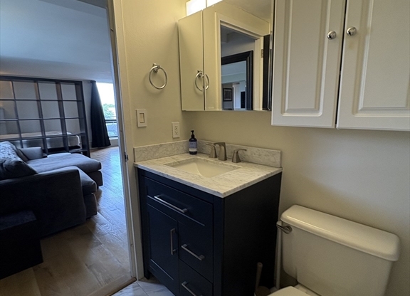 1 bed, 1 bath, 505 sqft, $2,700, Unit 1501