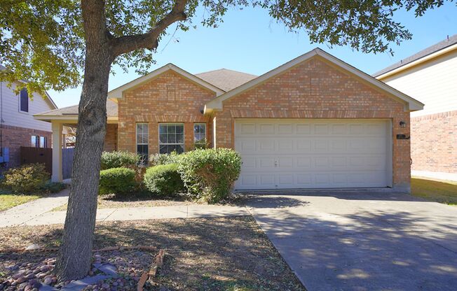 Gorgeous Single Story Home in Cibolo! Realtor Commission: $500