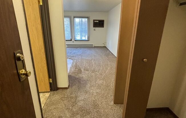 Studio, 1 bath, 360 sqft, $600, Unit 34