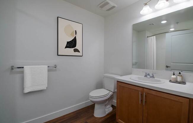 a bathroom with a toilet sink and mirror