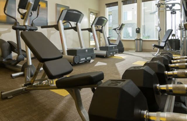 Cardio Studio Equipment at Enclave at 1400 South Apartments, Salt Lake City, UT
