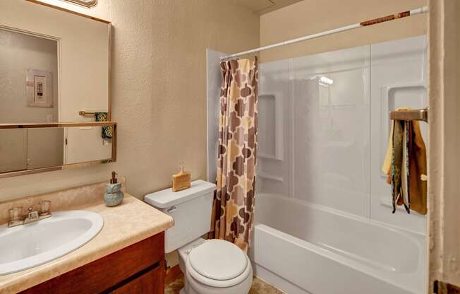 Arctic Sun Bathroom