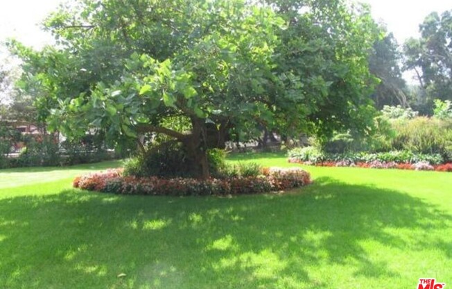 1 bed, 1 bath, 805 sqft, $3,900, Unit 1010