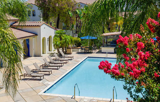 A pool surrounded by lounge chairs and umbrellas.