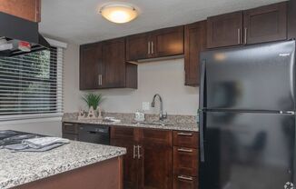 The woods At camp Creek