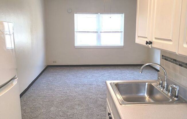 Studio, 1 bath, $795, Unit 303