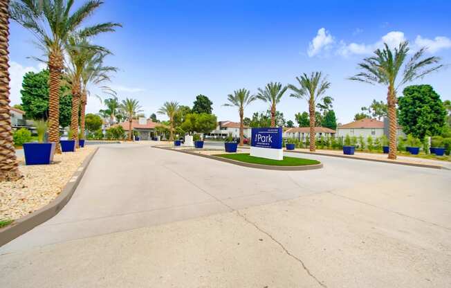 an empty parking lot with palm trees and houses in the background at The Park Apartments, California