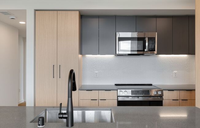 1 bed, 1 bath, 421 sqft, $1,795, Unit 501