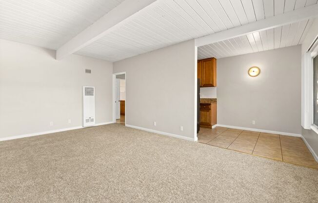 Welcome to Coliseum Apartments