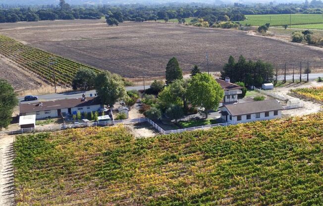 201 (20250-20300 Arnold)