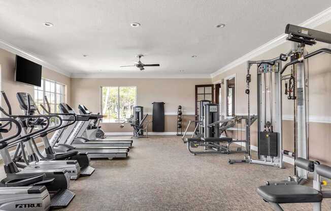 A well-equipped gym with treadmills, elliptical machines, and weightlifting equipment.
