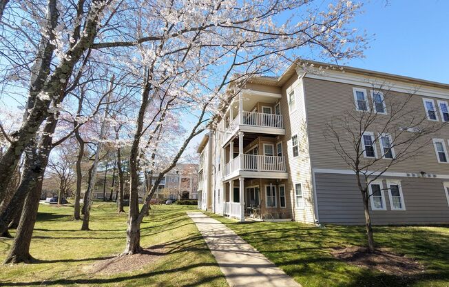 Beautifully maintained ground level condo in Germantown ready by mid April!
