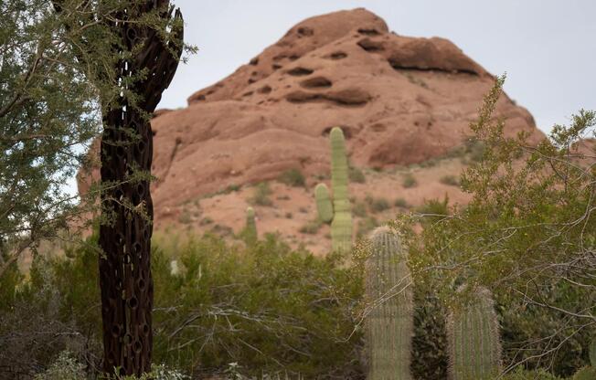 Iconic red rock views and desert trails at Papago Park—just minutes from Modera Rio Salado.