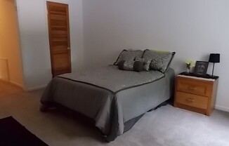 1 bed, 1 bath, $800, Unit #65