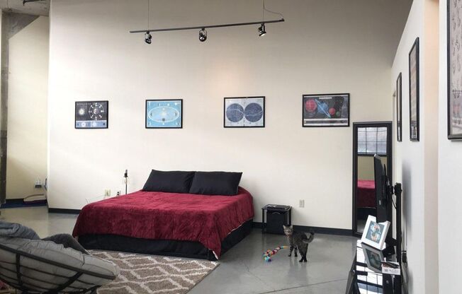 1 bed, 1 bath, 694 sqft, $1,275, Unit 301