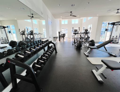 a fitness room filled with weights and cardio equipment