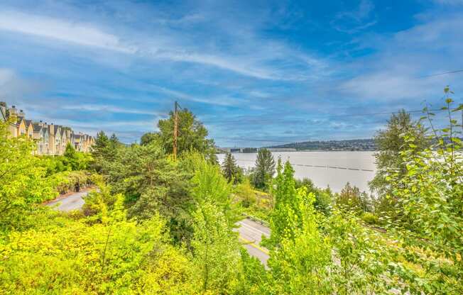 Bella Vista View Of Lake Washington