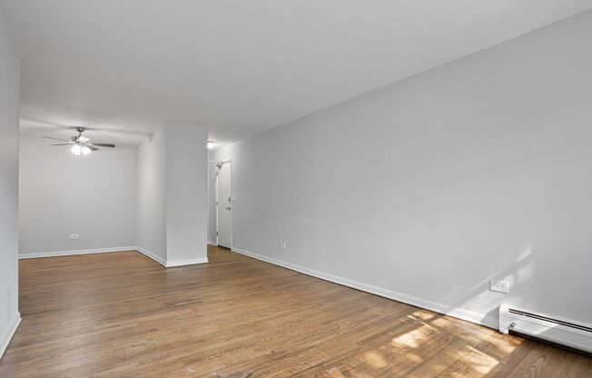 1 bed, 1 bath, 536 sqft, $1,750, Unit 331