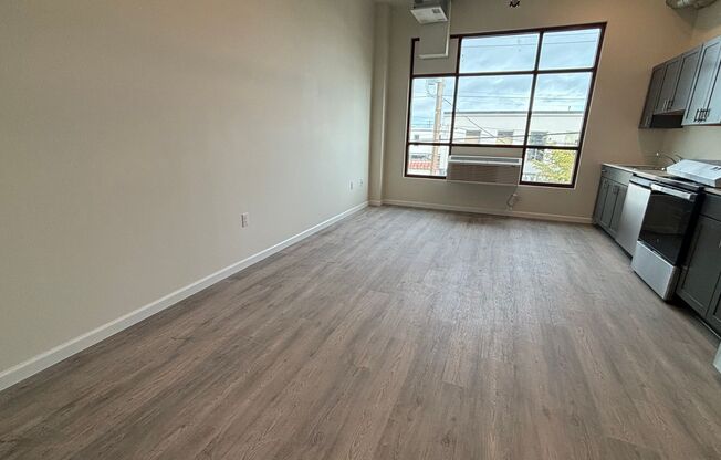 Studio, 1 bath, 398 sqft, $1,250, Unit 205