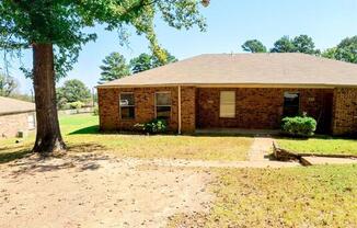 6932 County Road 381 #2A