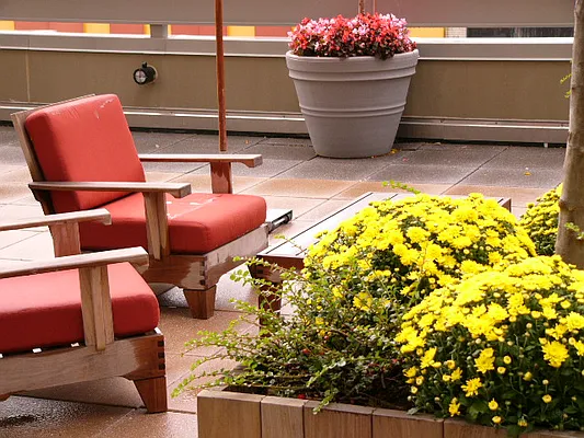 Studio, 1 bath, $6,881, Unit 38D