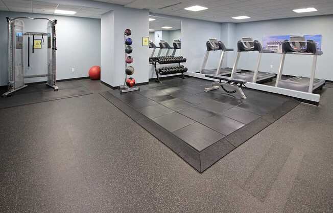 A gym with treadmills, weights, and a ball.