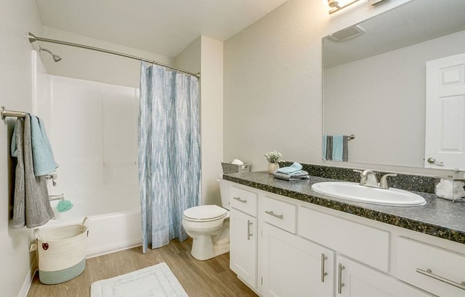 Bathroom vanity and shower