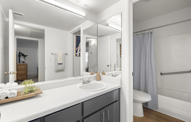 Oakridge Apartments - One Bedroom Model - Upgraded Bathroom
