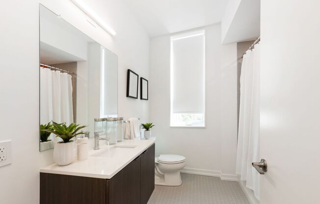 1 bed, 1 bath, 499 sqft, $1,630, Unit N-504