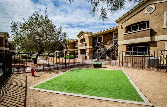 A small green patch of grass in the middle of a sandy area.