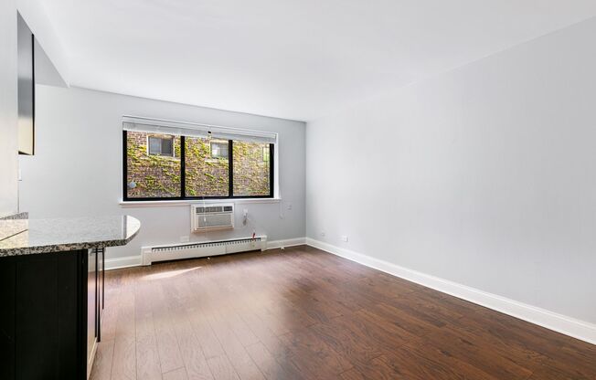 Studio, 1 bath, 336 sqft, $1,550, Unit 304