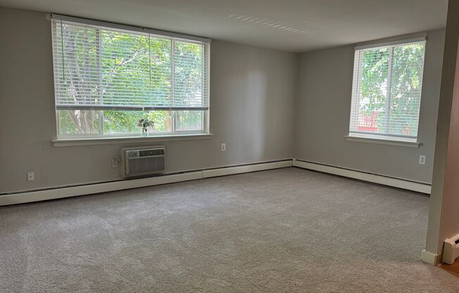 1 bed, 1 bath, 600 sqft, $1,435, Unit 238