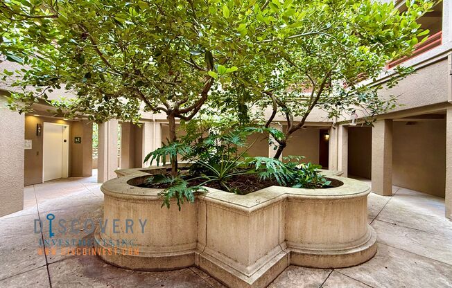 Now Offering December Rent Free!