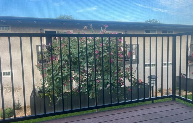 1 bed, 1 bath, 480 sqft, $2,310, Unit 6