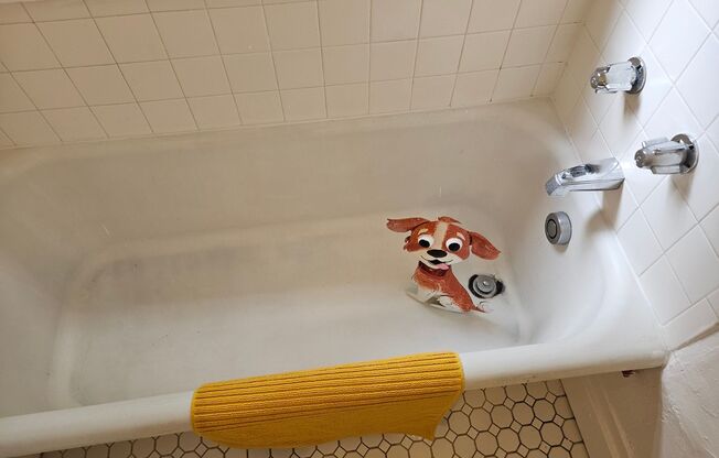 Studio, 1 bath, 337 sqft, $1,249, Unit 25