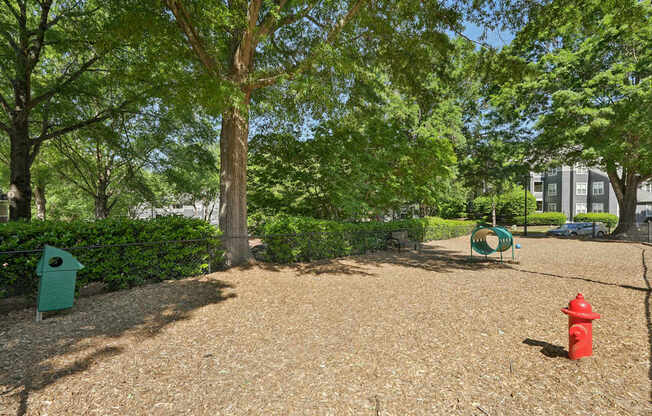 A red fire hydrant sits on a gravel area next to a tree.