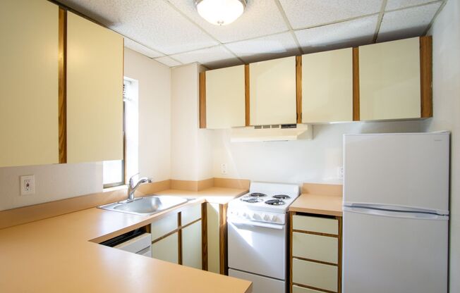 Corner Studio in the Heart of NW w/ Dishwasher!