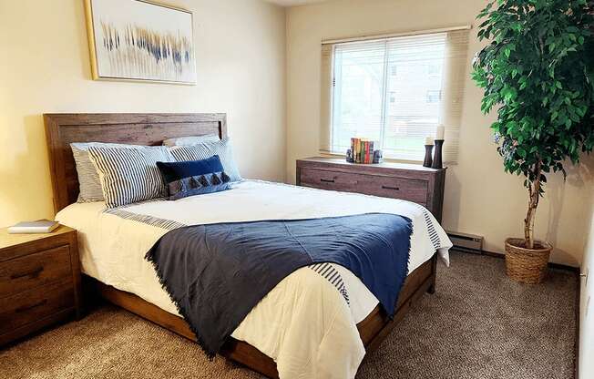 a bedroom with a bed and a plant and a window