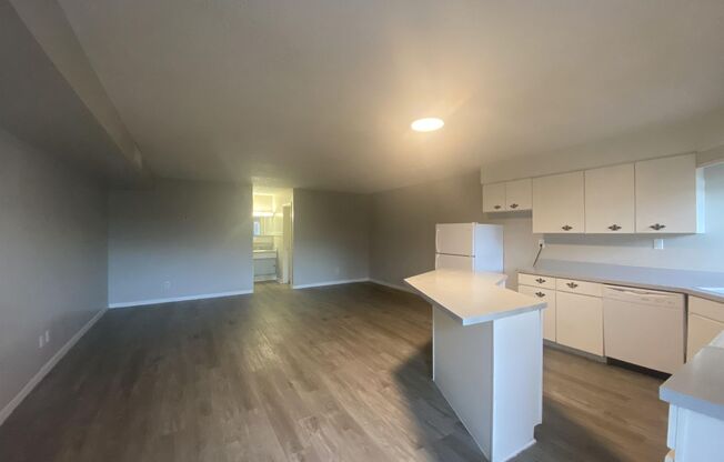 Studio, 1 bath, 546 sqft, $649, Unit C:15