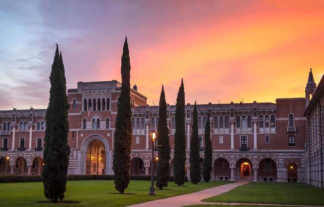 Rice University