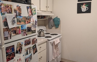 1 bed, 1 bath, 570 sqft, $2,900, Unit 1507