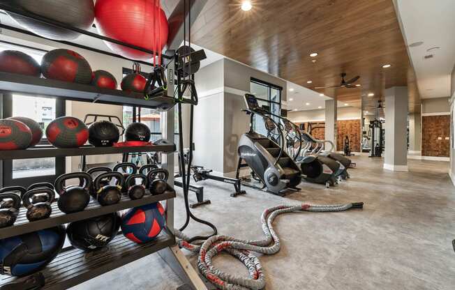 the gym is stocked with weights and other exercise equipment