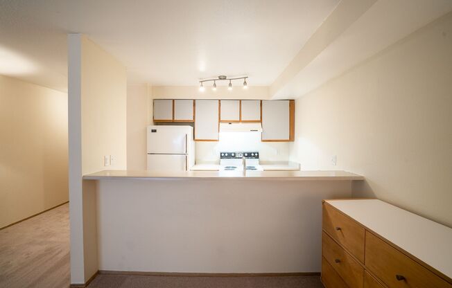 Studio, 1 bath, 504 sqft, $1,485, Unit 311