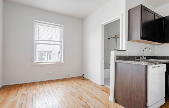 Studio, 1 bath, 225 sqft, $1,150, Unit 4615-3D