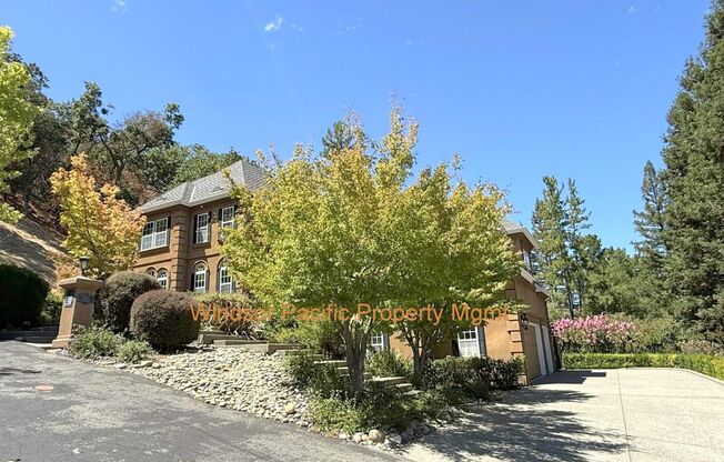 NEW PRICE ! Westside Alamo Custom Estate With Beautiful Wooded Views !