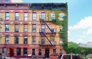 16 TIFFANY PL