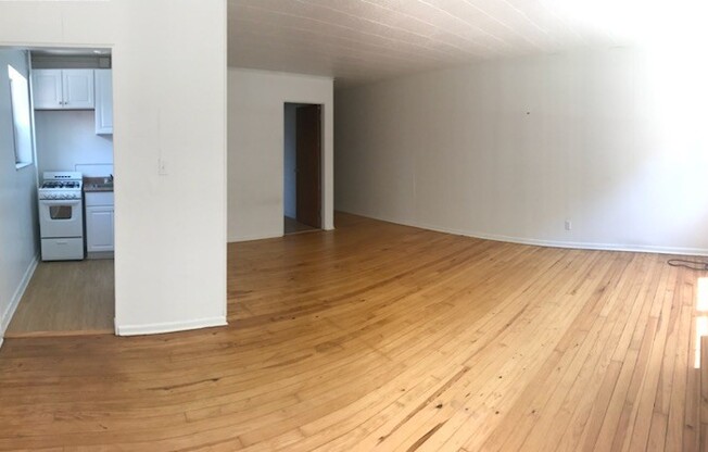 Studio, 1 bath, 487 sqft, $1,300, Unit Fifth 208
