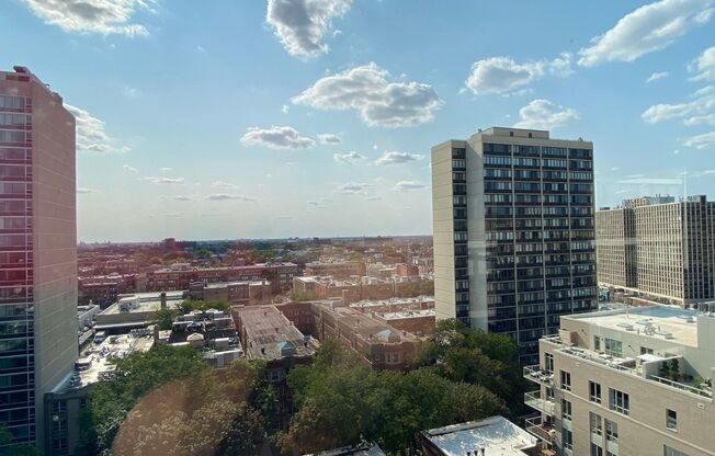 Studio, 1 bath, 320 sqft, $1,375, Unit 273-1210