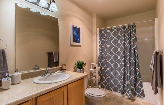 a bathroom with a sink toilet and a shower  at Quail Springs, Washington, 99353